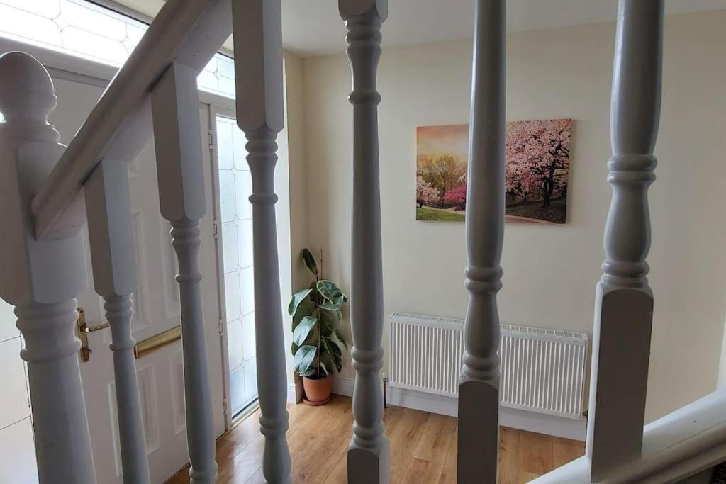 Modern Countryside Apartment Killmallock Lodge Enniscorthy Exteriér fotografie